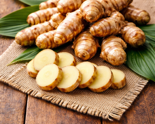 Photo kencur untuk katalog - Nurul Novania